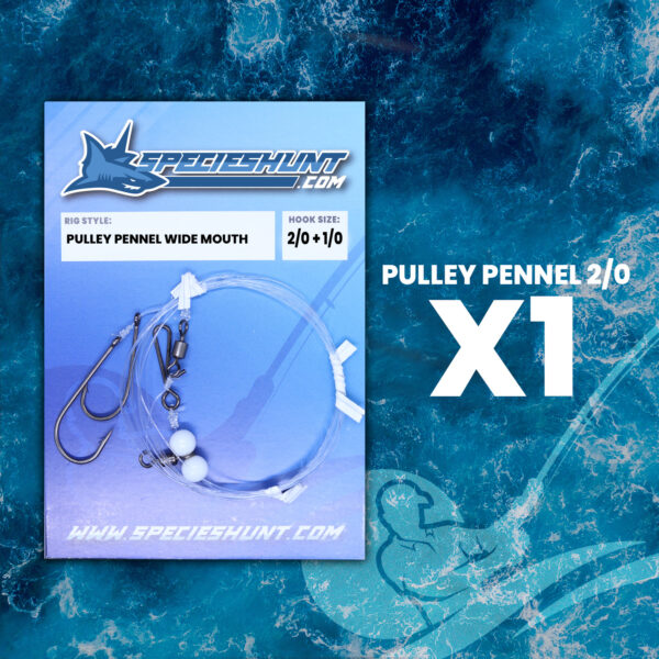 PULLEY-PENNEL-2-0-SPECIES-HUNT-SEA-FISHING-RIG-1-X1