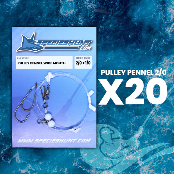 PULLEY-PENNEL-2-0-SPECIES-HUNT-SEA-FISHING-RIG-1-X20