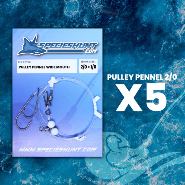PULLEY-PENNEL-2-0-SPECIES-HUNT-SEA-FISHING-RIG-1-X5
